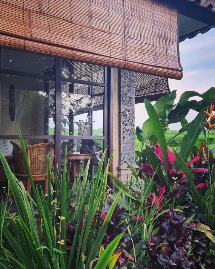 Sava Eco Retreat Hotel Padangan  Exterior foto