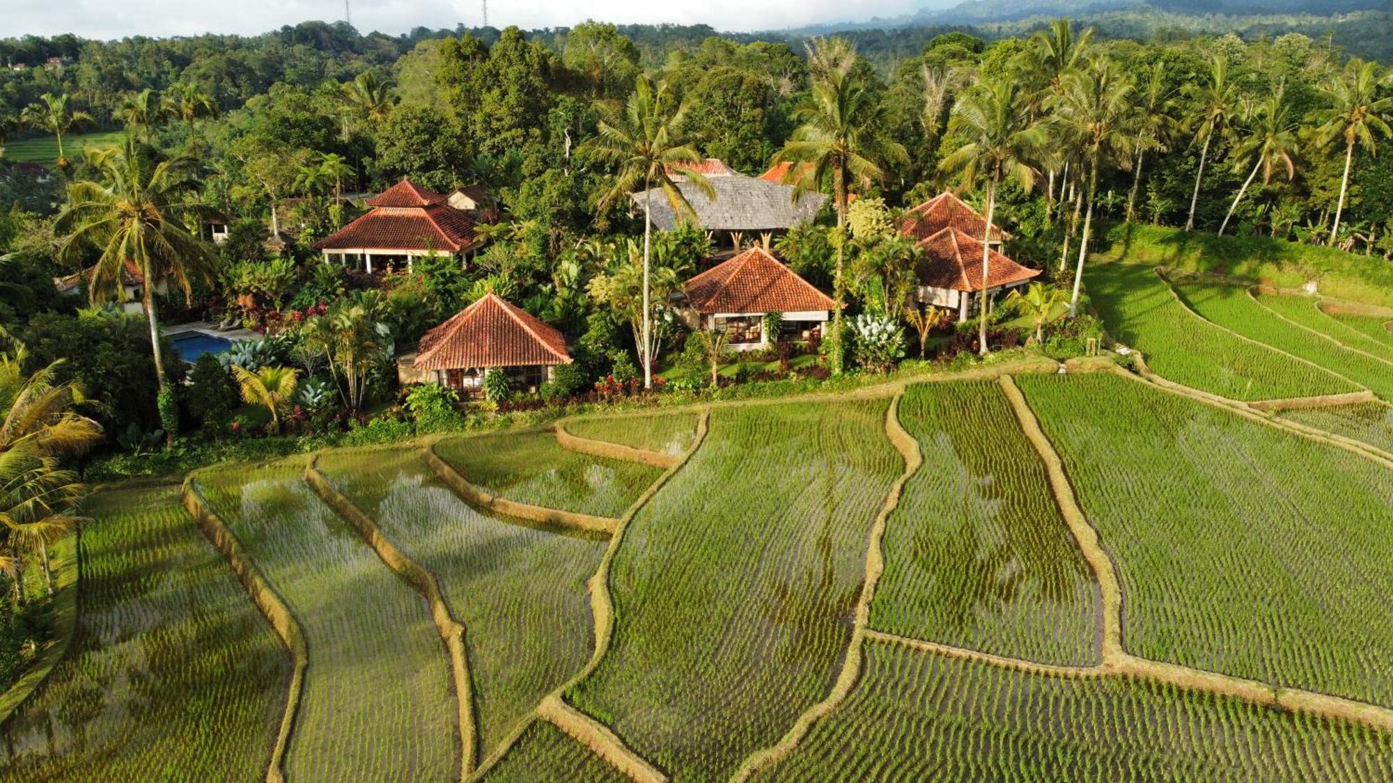 Sava Eco Retreat Hotel Padangan  Exterior foto